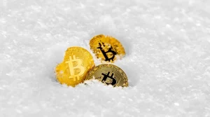 Crypto Winter