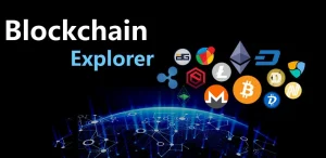 Guide for Blockchain Explorer